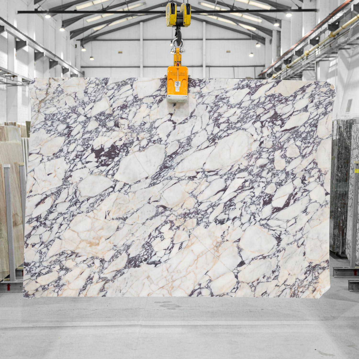Calacatta-Viola-Marble-Slabs